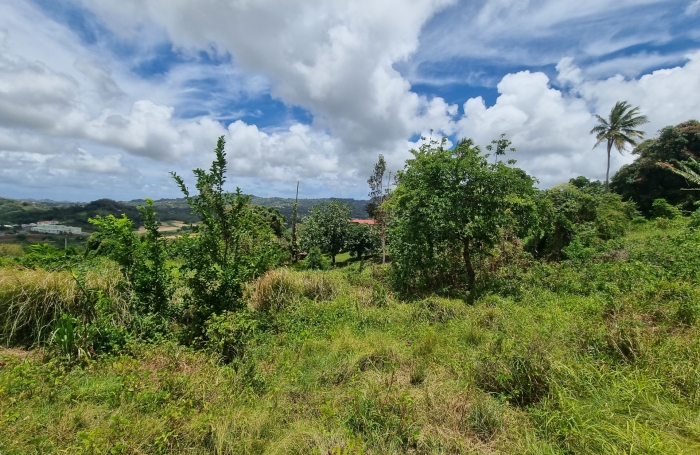 Vente Terrain Rivière Salée