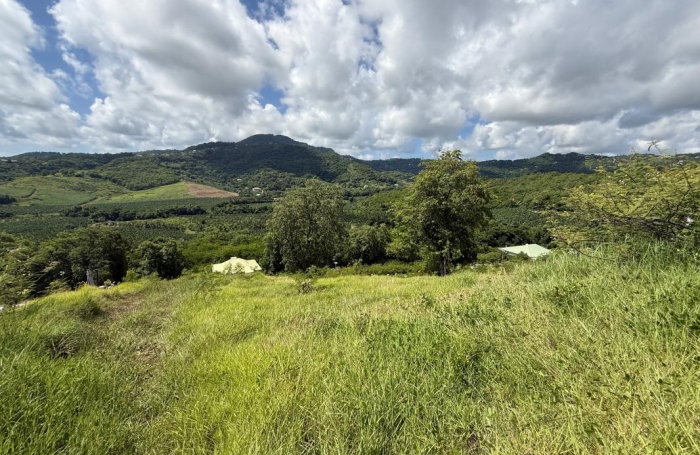 Vente Terrain 97240