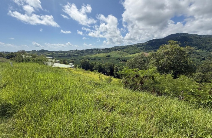 Vente Terrain 752m&sup2; Le François