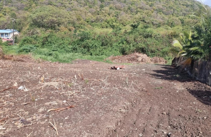 Vente Terrain 500m&sup2; Sainte Anne