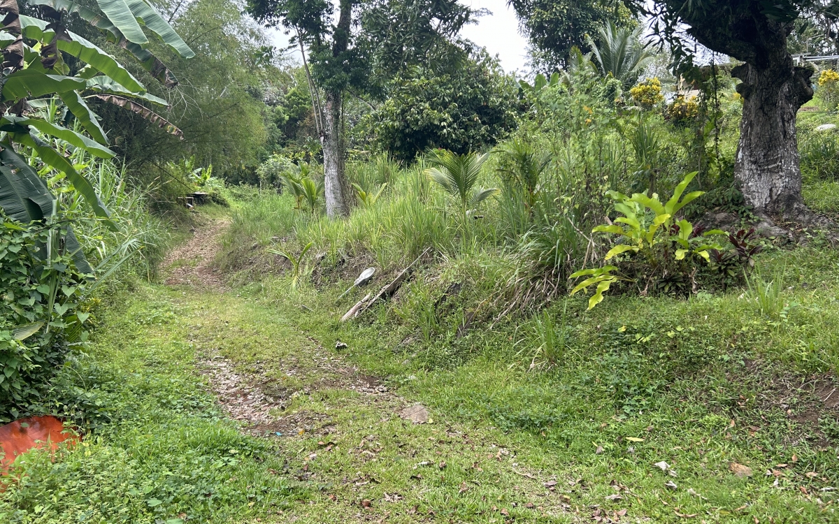 Sainte Luce - Terrain de 2906 m2 avec vue mer - 335 000 €