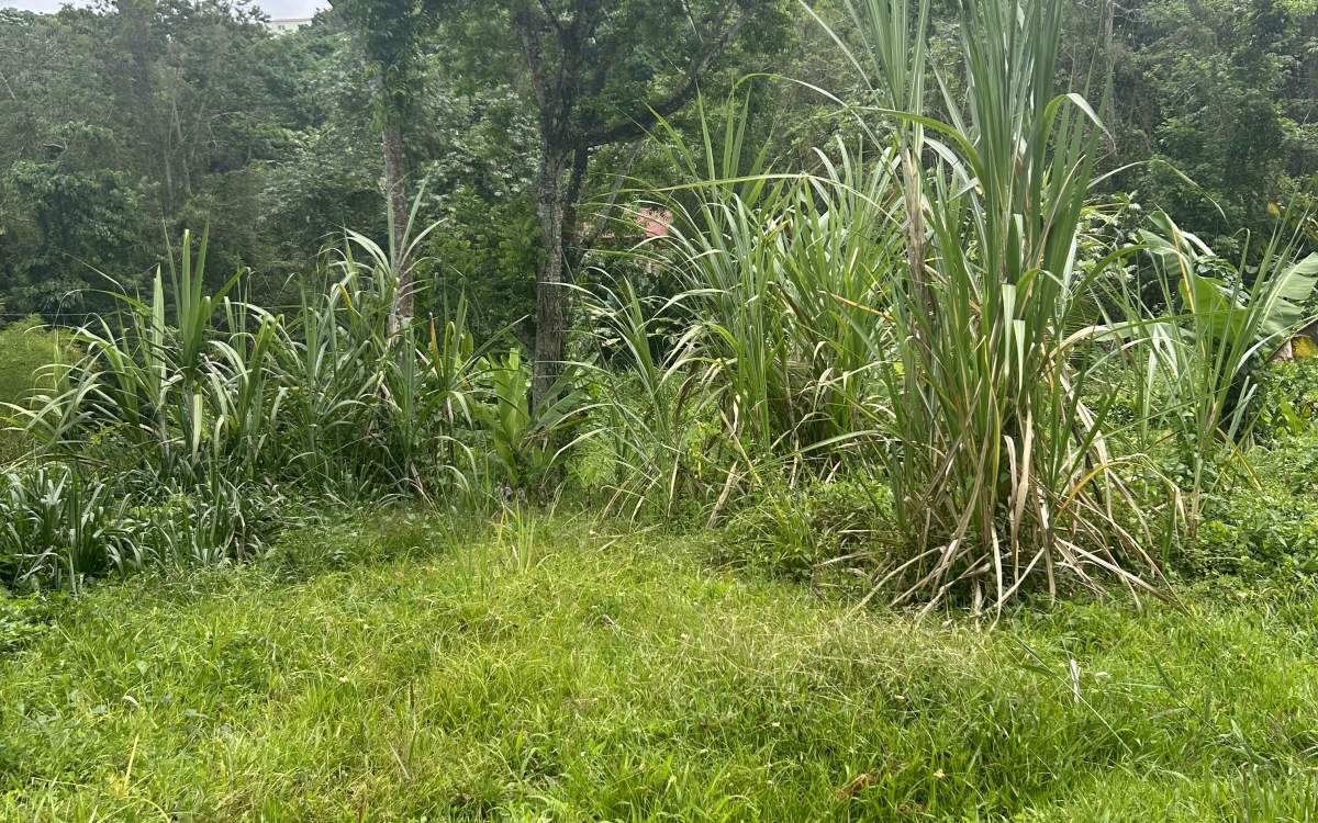 Sainte Luce - Terrain de 2906 m2 avec vue mer - 335 000 €