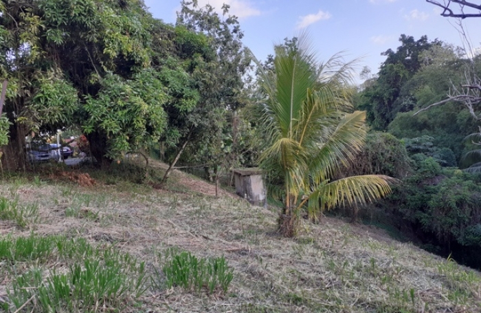 Terrain &agrave; vendre BALATA - FORT-DE-FRANCE