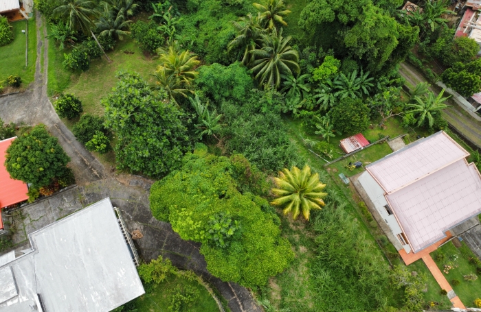 Terrain &agrave; vendre BALATA - FORT-DE-FRANCE
