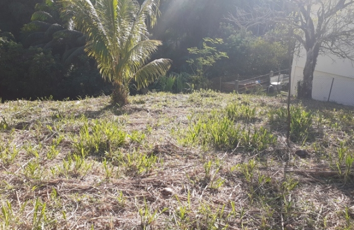 Terrain &agrave; vendre BALATA - FORT-DE-FRANCE