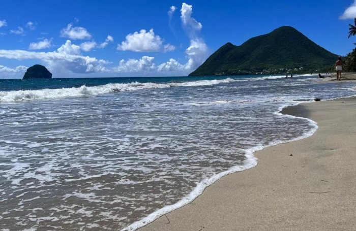 Vente Fonds de commerce 185m&sup2; Le Diamant