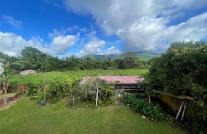 Vaste maison de type F8 en parfait état, à proximité des commodités - 97260 - LE MORNE ROUGE