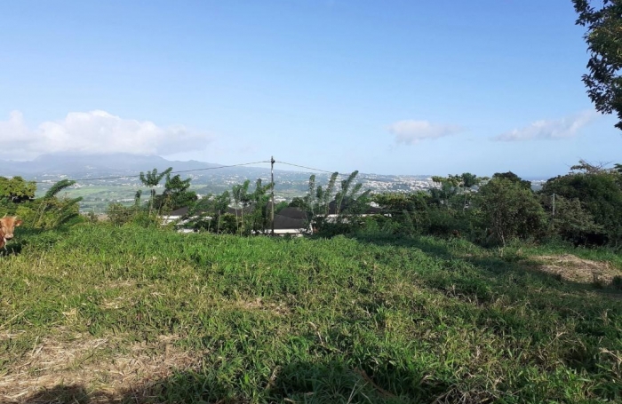 Vente Terrain 1704m&sup2; Le Lamentin