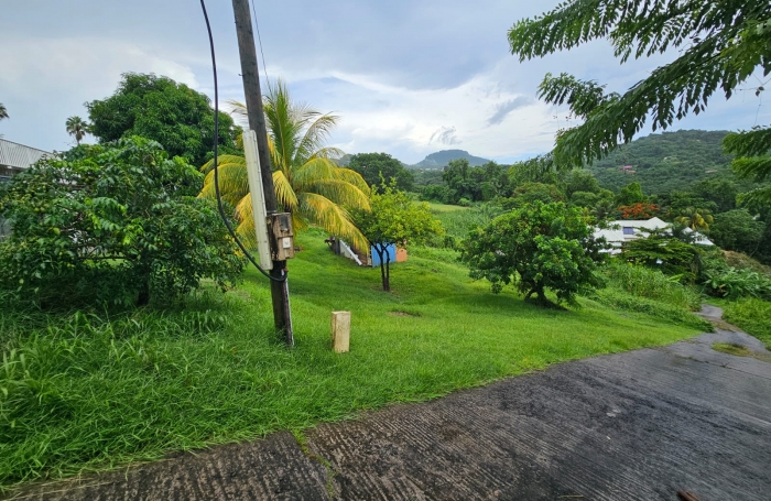 À Rivière-Pilote, terrain bien dimensionné de 786m2 en vente