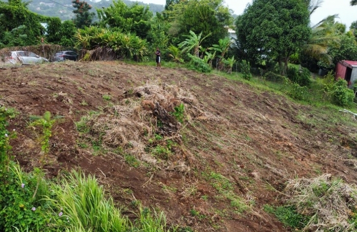 Vente Terrain 900m&sup2; La Trinité