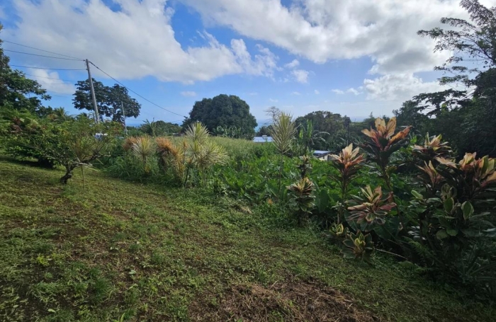 Vente Terrain 1592m&sup2; Sainte Marie