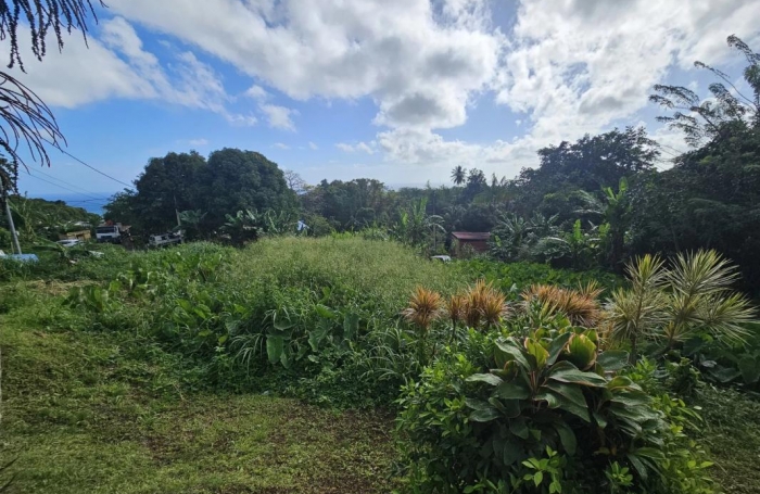 Vente Terrain 1592m&sup2; Sainte Marie