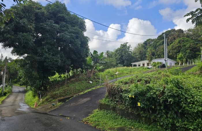 Vente Terrain 1592m&sup2; Sainte Marie