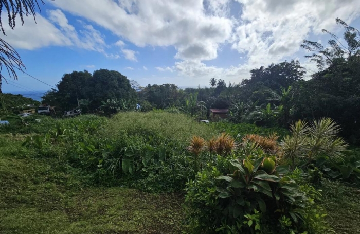 Vente Terrain 1592m&sup2; Sainte Marie