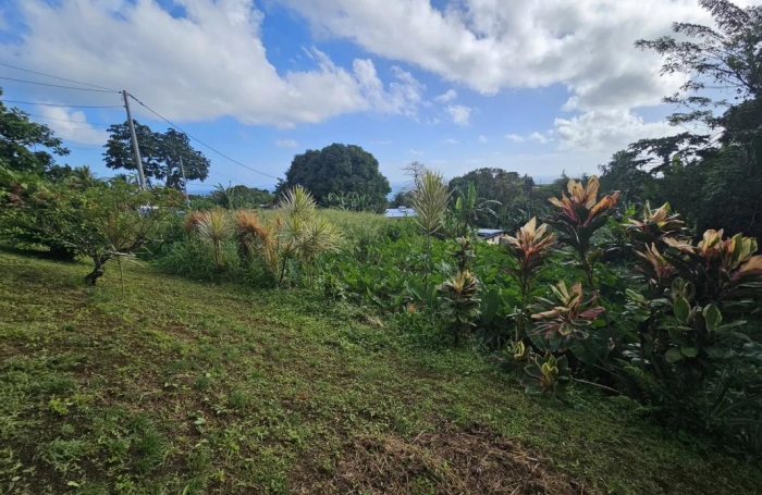 Vente Terrain 1592m&sup2; Sainte Marie