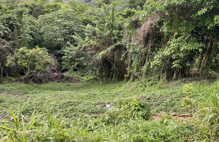 Terrain pentu, Magdelonette - LE FRANCOIS