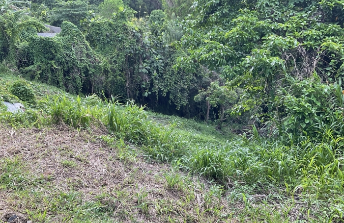 Terrain pentu, Magdelonette - LE FRANCOIS