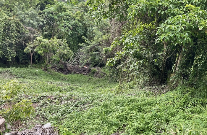 Terrain pentu, Magdelonette - LE FRANCOIS