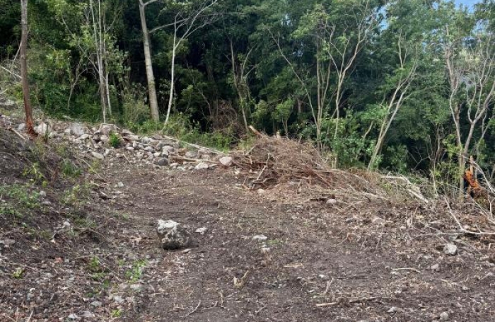 Vente Terrain 1200m&sup2; Les Anses d'Arlet