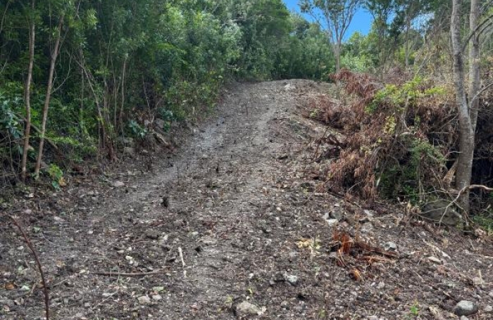 Vente Terrain 1200m&sup2; Les Anses d'Arlet