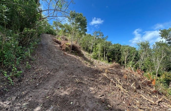 Vente Terrain 1200m&sup2; Les Anses d'Arlet