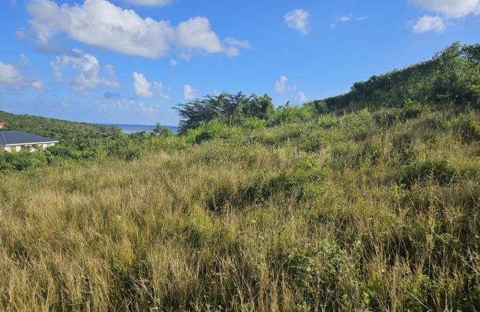 Vente Terrain 623m&sup2; Le Diamant