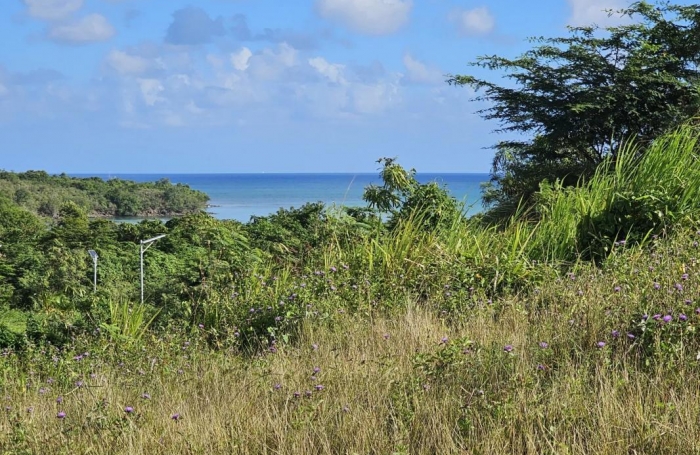 Vente Terrain 623m&sup2; Le Diamant