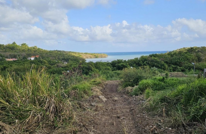 Vente Terrain 623m&sup2; Le Diamant