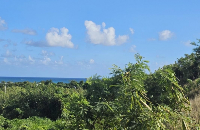 Vente Terrain 615m&sup2; Le Diamant