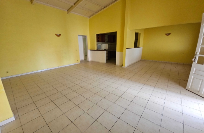 Grande appartement F3 +2 terrasses dans maison de ville