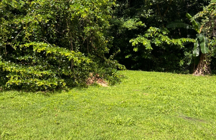 Vente Terrain 660m² Les Trois Ilets