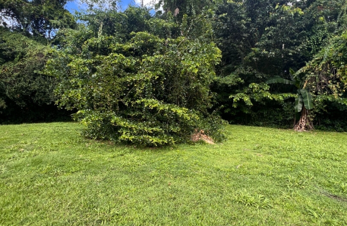 Vente Terrain 660m² Les Trois Ilets