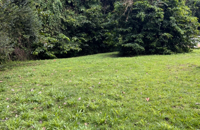 Vente Terrain 660m² Les Trois Ilets