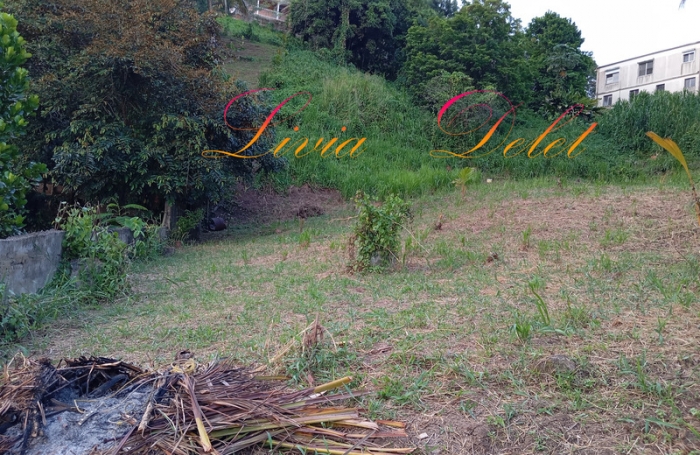 Vente Terrain 97231