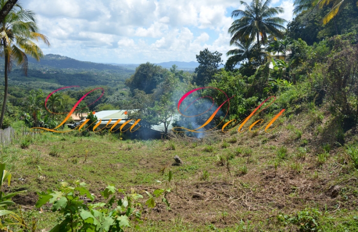 Vente Terrain 900m&sup2; Le Robert