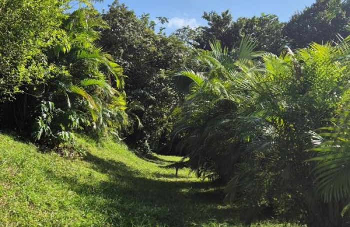 Vente Terrain 821m&sup2; Ducos