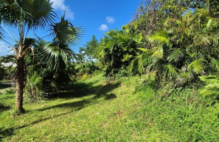 Vente Terrain 821m&sup2; Ducos