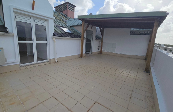 Charmant F3 avec mezzanine et grande terrasse