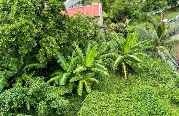 Vente Maison 90m&sup2; 4 pi&#232;ces Le Robert