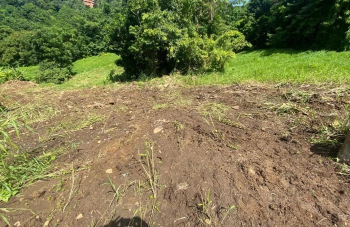 Vente Terrain 706m&sup2; Le Vauclin