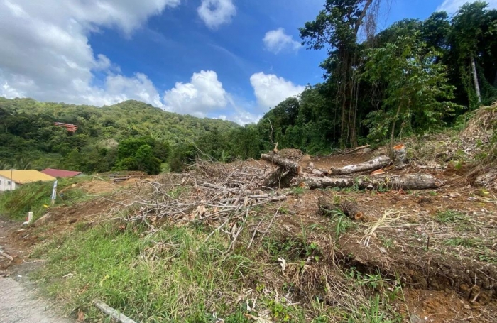 Vente Terrain 568m&sup2; Le Vauclin