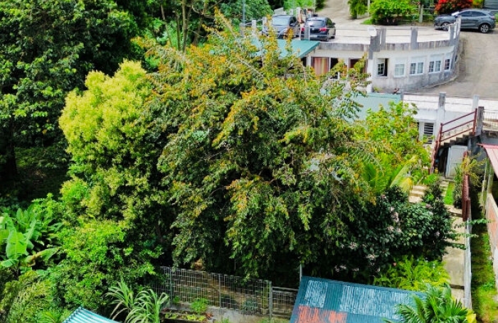 Vente Maison 530m² 23 pièces Gros Morne