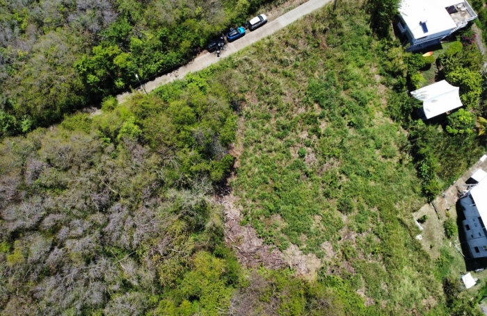 terrain constructible avec vue mer au quartier Pointe la Rose - LE ROBERT