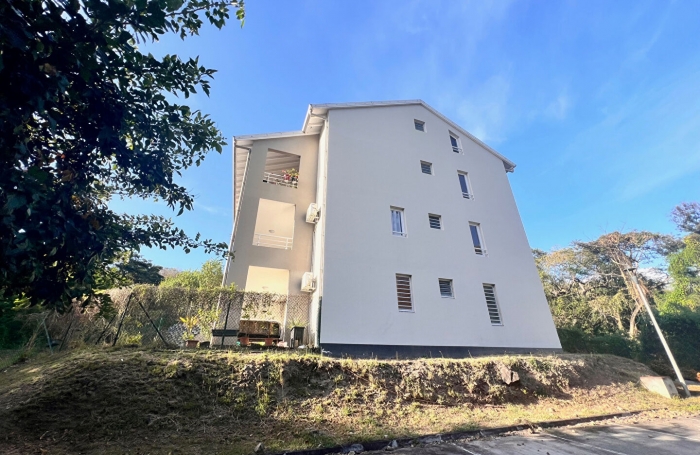 Vente Immeuble Le Carbet