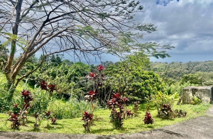 Vente Immeuble 394m&sup2; 12 pi&#232;ces Schoelcher