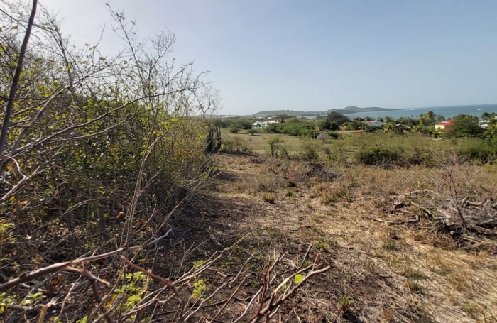 Vente Terrain 1745m&sup2; Le Vauclin