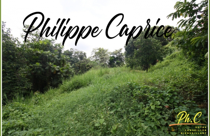 Vente Terrain 1015m&sup2; Le Marin