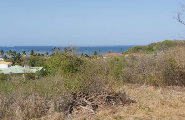 Vente Terrain 1820m&sup2; Le Vauclin