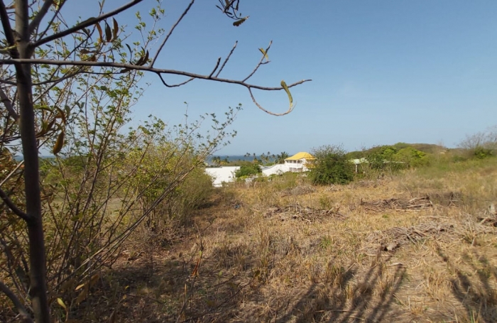 Vente Terrain 1820m&sup2; Le Vauclin