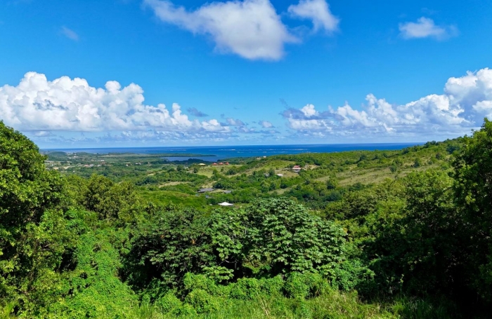 Vente Maison 129m&sup2; 4 pi&#232;ces Le Marin